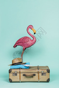 粉红色火烈鸟和旅行装备图片