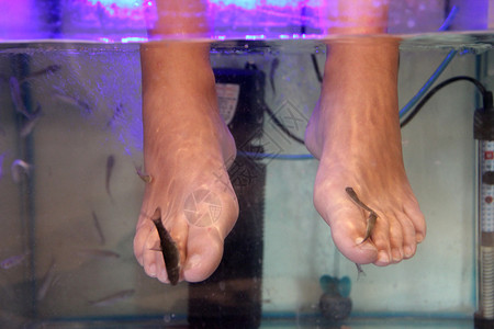 鱼疗程序女脚在去皮期间按摩小鱼女孩享受医疗程序剥离钉子卫生图片