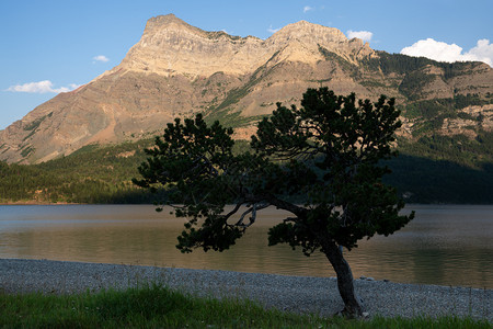 目的地加拿大艾伯塔Waterton湖公园水顿日落时全景图像黄昏风优美图片