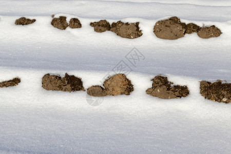 在下雪和暴风后冬季的深雪漂流在农业田地上关闭黑土横穿雪流和壤中渗出平坦的冰冷闪光图片