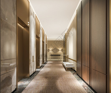 3d在商业旅馆提供现代钢铁电梯大厅在走廊附近有豪华设计公寓建造内部的图片