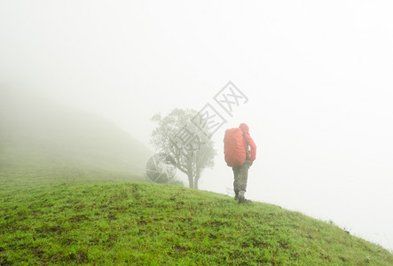 爬坡道山顶上背着包的爬山者享受着自由一种图片