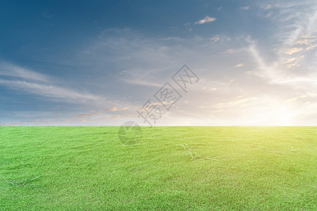 绿草和蓝天空有白云美丽的自然草地景观太阳外部农业图片