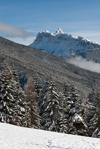 多洛米蒂白色的在意大利北部多洛米特人区的一幅闪光冬季景象高山图片