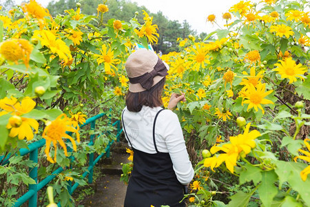 蒋绿色吸引人的亚洲女旅行者在节假日放松黄花田快乐的亚洲女旅行者图片