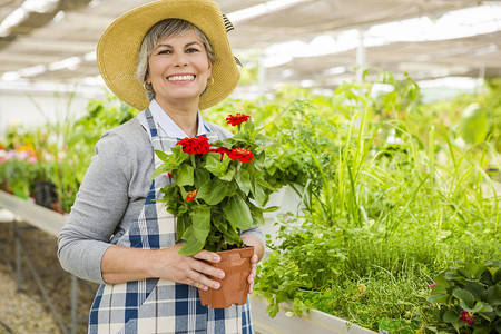 住在温室花朵中的成熟女人植物高级的自然图片