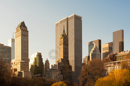 户外美国纽约州市中央公园的曼哈顿中城天际网约克树图片