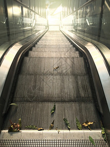 电梯Covid19大流行期间的空扶梯在上瀑布着叶子一个空扶梯楼向下俯落到地板聚焦于前景下的叶子电地面图片