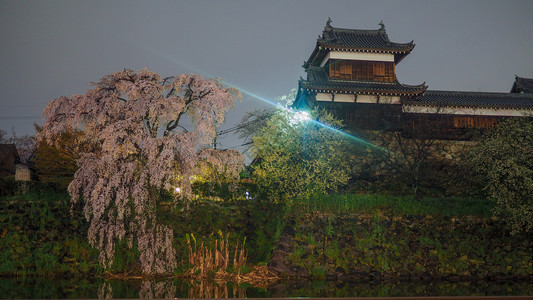 地标日本郡山2017年4月7日晚上樱花盛开的郡山城堡夜晚樱花盛开的郡山城堡季节武士图片