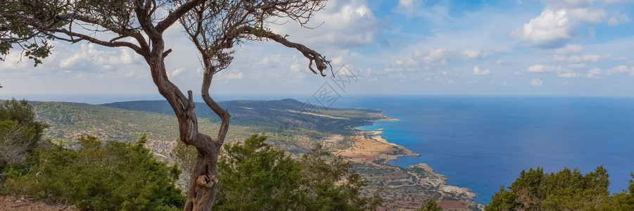 多于树干吠从塞浦路斯阿卡马半岛的弗罗狄亚登山小径上看到的地中海湾和蓝环礁湖及绿水的全景空中观察图片