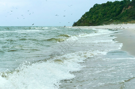 地区天移动海和浪波罗的水域波罗海水域和浪图片