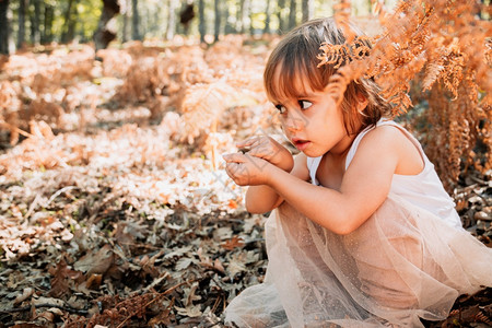 小caucasian女婴在森林里坐树的幼兽与植物一起玩耍小caucaosian女婴在森林里蹲小动物中间白种人女儿随意的图片