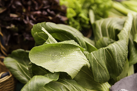 树叶生湿菠菜绿色蔬细节健康食品饮生湿菠菜叶剪下烹饪图片
