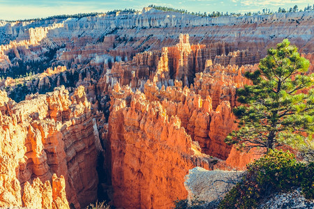美国犹他州布莱斯峡谷公园觋砂岩侵蚀图片