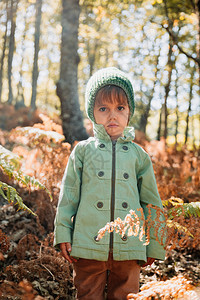 清白的小女孩穿着羊毛帽在秋天的森林里幼兽与植物一起玩耍树木夹克图片