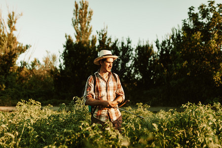 有机的环境施肥青年农民喷洒有机肥料身戴旧帽子和格衬衫的人工水泵罐图片
