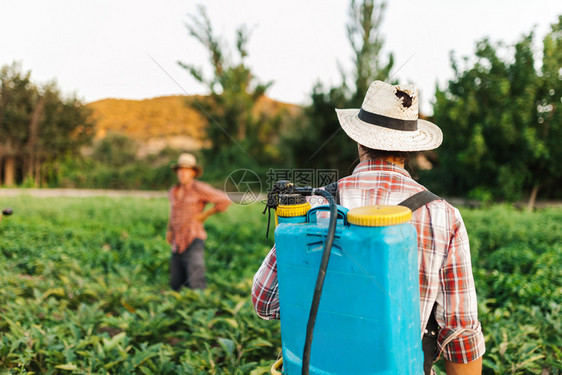 喷涂杀虫剂机器青年农民喷洒有机肥料身戴旧帽子和格衬衫的人工水泵罐图片