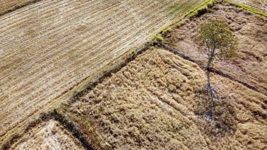 庄稼空中观景农业用地收获季节后干旱条件无人机摄影等情况沉降字段图片