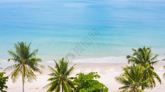 空中观望热带自然天堂岛的棕榈海滩岸树亚洲图片