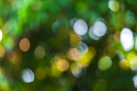明亮的季节带有圆环绿色bokeh背景夏季抽象主题圆圈图片