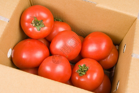 有机的纸箱中新鲜红番茄供出售吃颜色图片