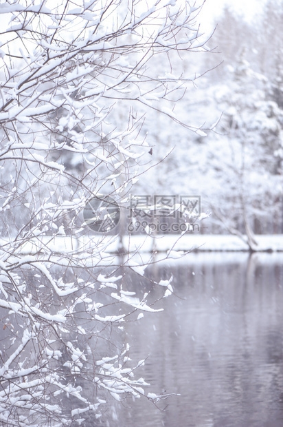 美丽的寒冬底色模糊积雪分枝和冰湖户外自然图片