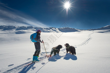 带着两只狗在雪山徒步的女性图片
