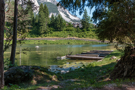 宁静树意大利多洛米人阿尔卑斯山风中圣维托迪卡多雷的莫西戈湖绿色图片
