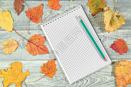 多彩秋叶和空白笔记本图片