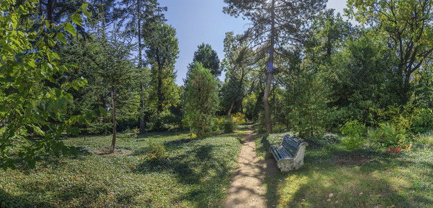 郁葱阴凉处角落乌克兰敖德萨旧植物园树荫下的空长凳旧植物园中的空长凳图片