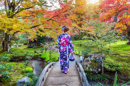 在日本京都秋天公园穿着日本传统和服的亚裔妇女年轻文化黄色图片