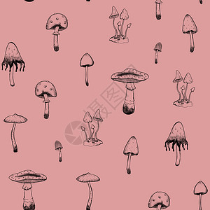 利用粉红背景的五花八门植物壁纸装饰数字图画风格的各种不同类型有毒蘑菇类样VintageStyle形象的鹅膏菌木头图片
