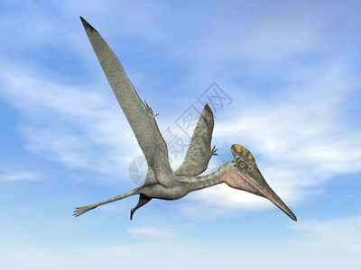 在蓝天飞行的原史前鸟类3D使原史前鸟类3D让原史前鸟类灭绝翼龙航班图片