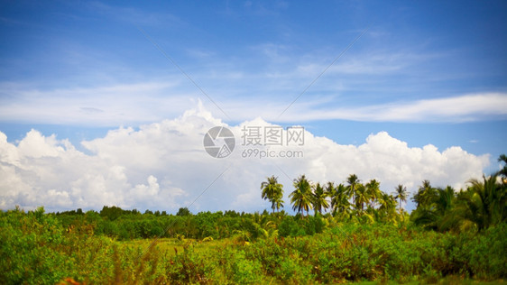 旅行泰国夏日绿色地貌的风景草农村图片