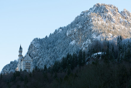自然环境德国施旺高新万斯坦城堡的强加于人结构德国施旺高冬天图片