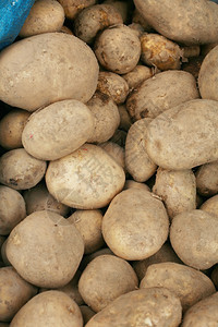 厨房市场上的土豆生蔬菜食品模式花园桩图片