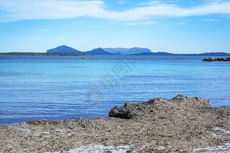 3月在意大利萨尔丁亚州科斯塔梅拉尔达岛冬季海滩上的绿水和干海草3月在科斯塔梅拉尔达岛冬季海滩上的绿水和干海草多岩石的北绿色图片