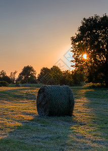 场地割草户外德国农业部在日落的草地上拍下大片干草滚动的全景象图片