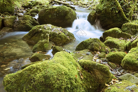 美丽的溪风景优阿普塞尼自然公园山区流的详细节图片
