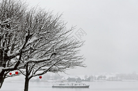树雪落叶奥地利沃尔夫冈湖StWolfgang图片