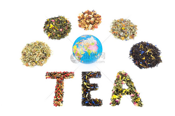 亚洲WordTEA包括全球和各种茶叶类的TEA字数这些茶叶物种以白色背景隔绝世界草药图片
