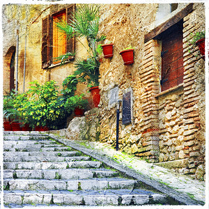 卡斯佩里亚意大利中世纪古老迷人的村庄有典型花草狭小街道Casperia艺术质地图片