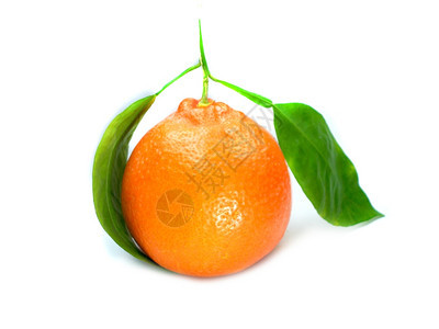 皮肤白色背景上隔离的新鲜橙子绿色叶新一种多汁的图片