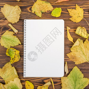 秋季落叶和空白笔记本图片