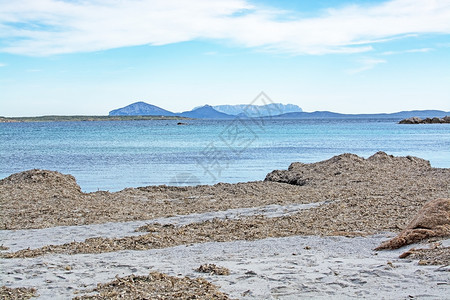 夏天堂美丽的3月意大利撒丁岛科斯塔梅拉达海滩上的绿水和有趣花岗岩石形状意大利撒丁岛科斯塔梅拉达冬季海滩上的草图片
