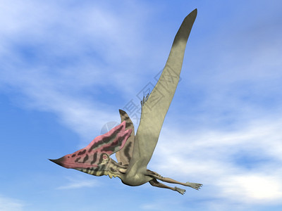 Thalassodromeus史前鸟类在蓝天中飞行3D渲染史前鸟类飞行渲染动物插图荒野图片