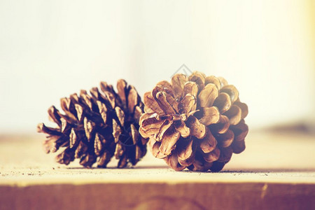 松树木架上的两个松果圣诞装饰五颜六色的木架上两个松果圣诞装饰喜庆的图片