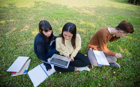 坐在绿色草地上一起使用电脑的学生们图片