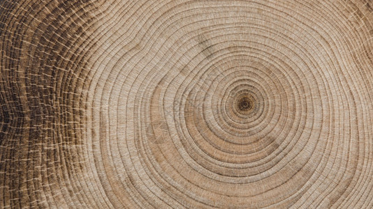 玩具高清晰度光美彩木概念优质照片美量木材地图片素材