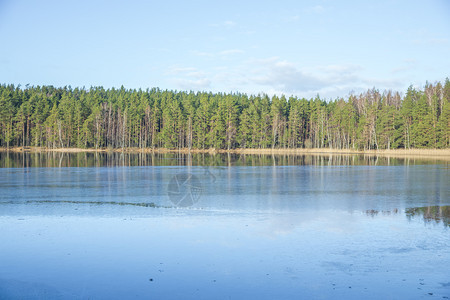 风景2014年拉托维亚塞西尼涅里斯湖Ninieris旅行社照片晴天户外图片